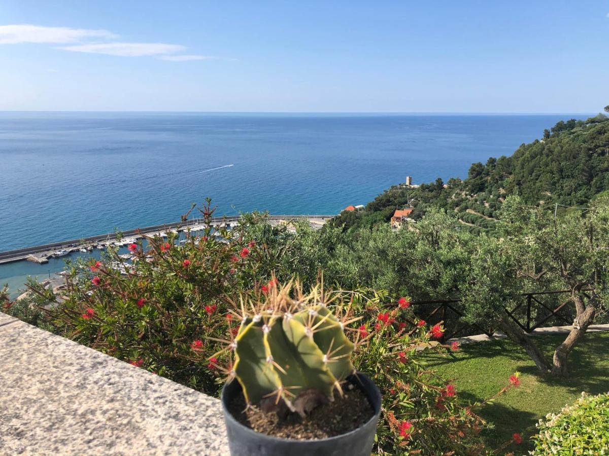Villa Degli Ulivi B&B Финале Лигуре Экстерьер фото